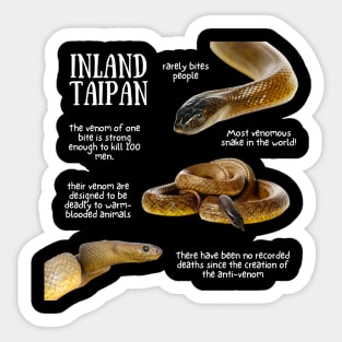 Indian Taipan Fun Facts Sticker